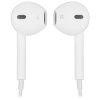 Apple EarPods (Lightning) - фото 